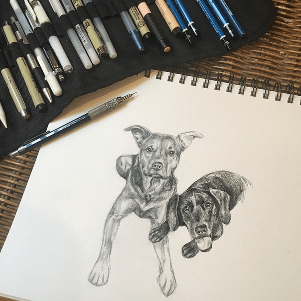 Dog Portraits by Carrie